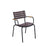 CLIPS Dining Chair - Black Frame with Bamboo Armrest & Plum Lamellas